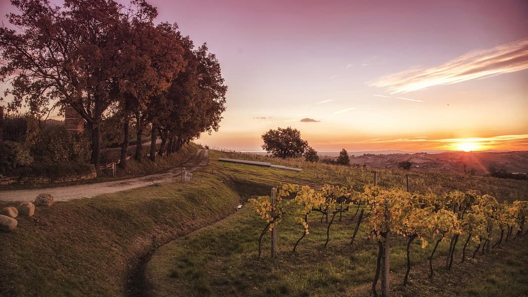 100 Foto Per La Romagna Rid